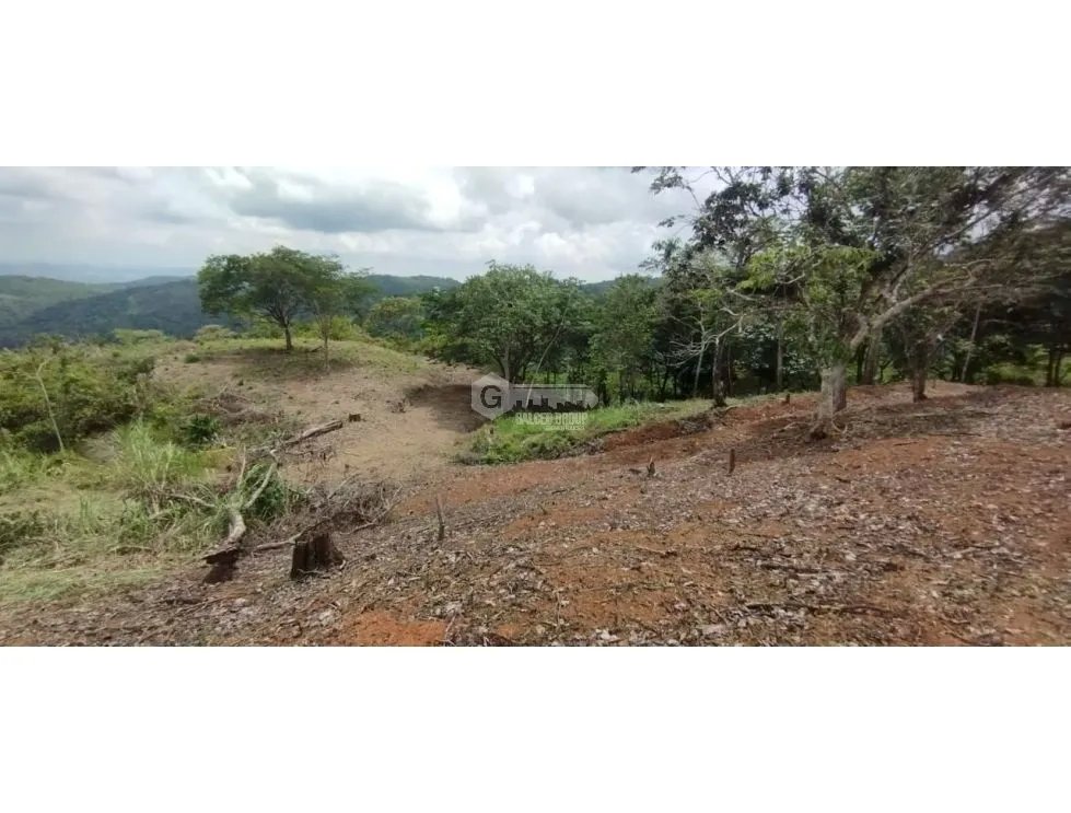 CERRO AZUL / TERRENO / 7 HECTAREAS / VISTA A LA CIUDAD Y MAR