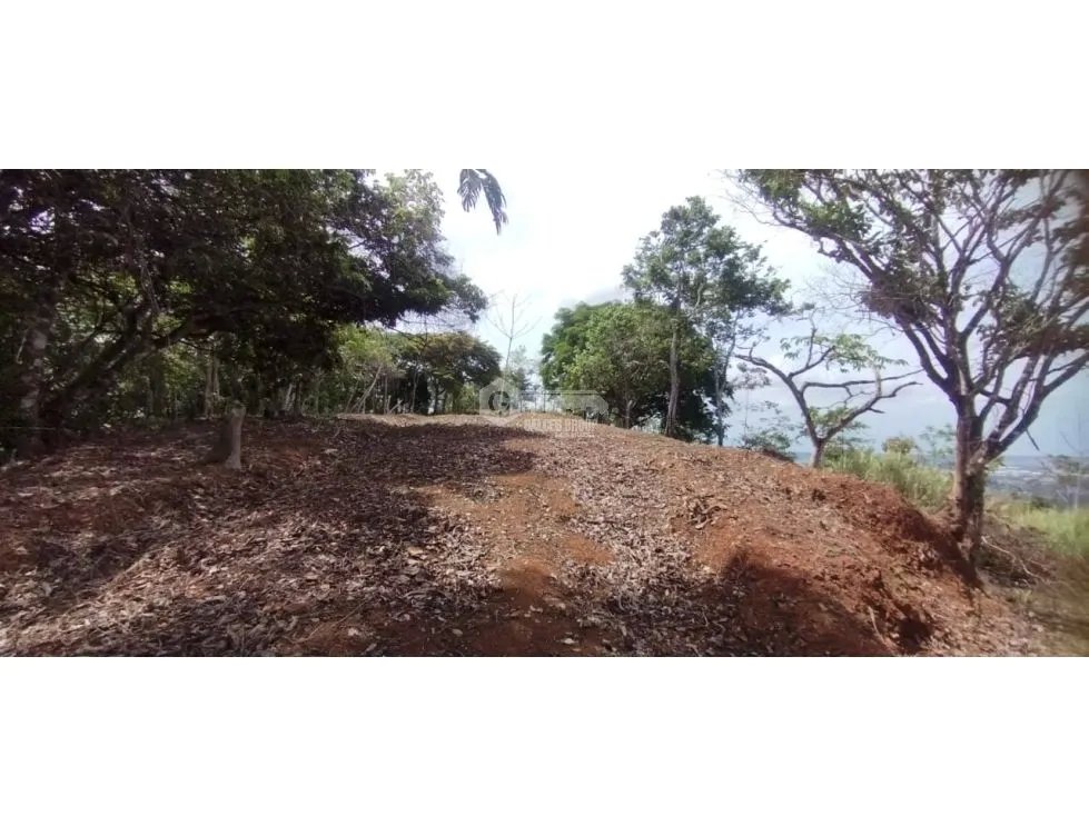 CERRO AZUL / TERRENO / 7 HECTAREAS / VISTA A LA CIUDAD Y MAR