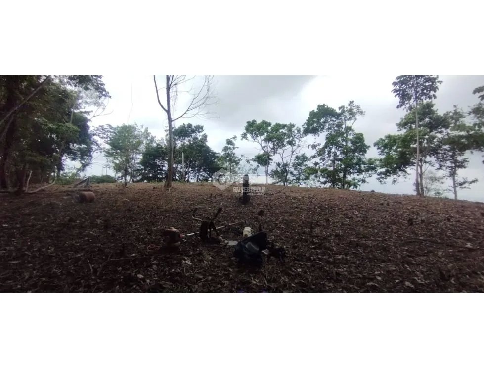 CERRO AZUL / TERRENO / 7 HECTAREAS / VISTA A LA CIUDAD Y MAR