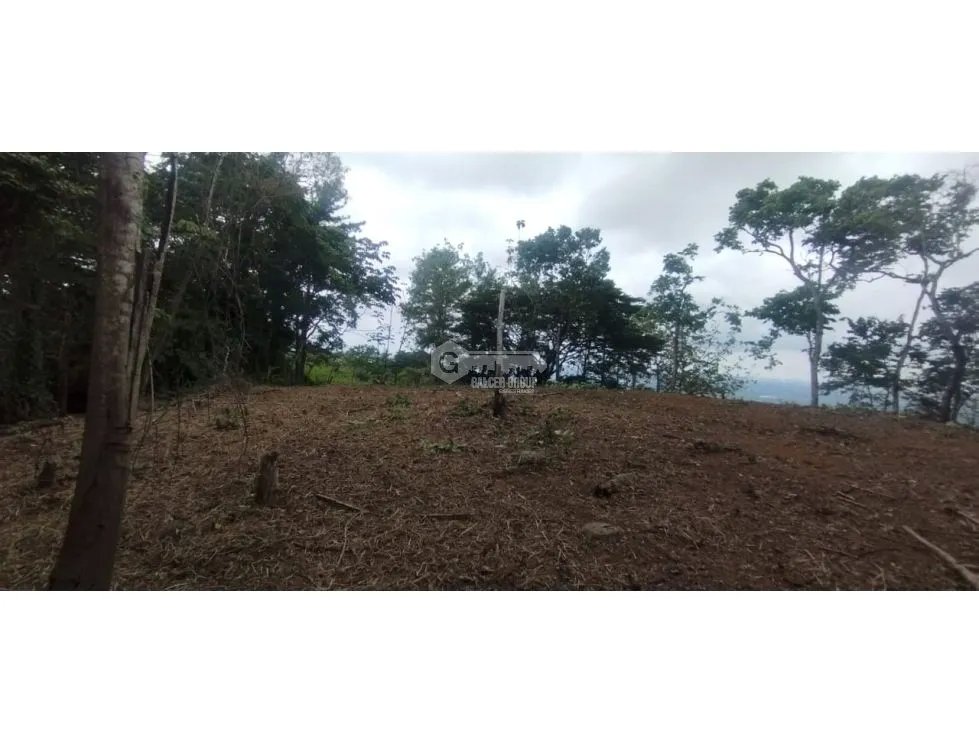CERRO AZUL / TERRENO / 7 HECTAREAS / VISTA A LA CIUDAD Y MAR