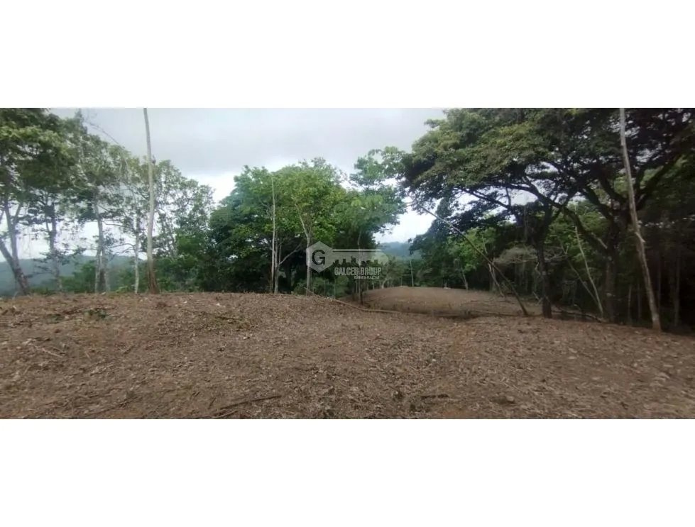 CERRO AZUL / TERRENO / 7 HECTAREAS / VISTA A LA CIUDAD Y MAR