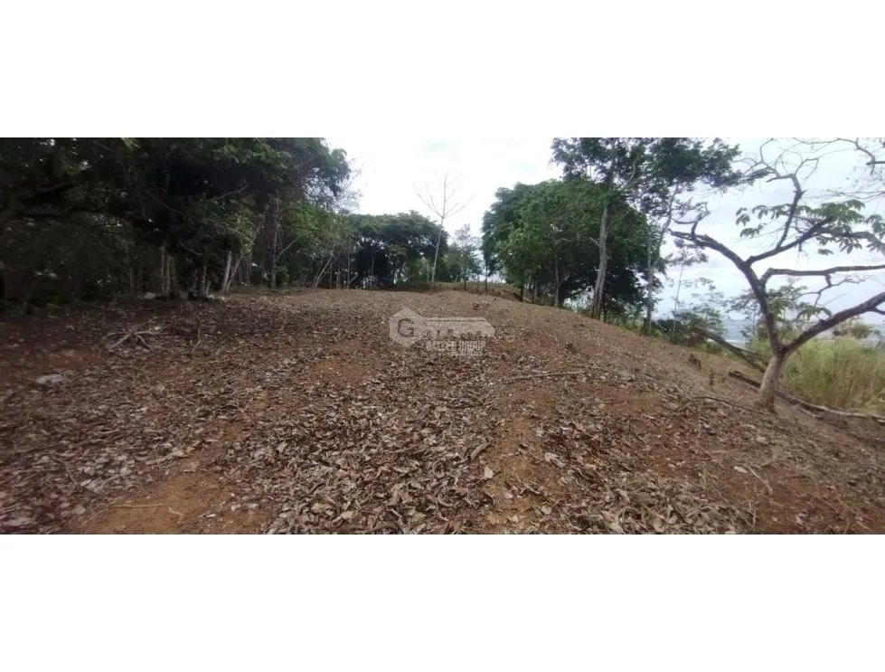 CERRO AZUL / TERRENO / 7 HECTAREAS / VISTA A LA CIUDAD Y MAR