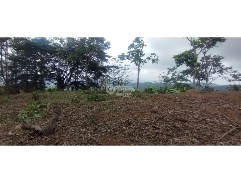 CERRO AZUL / TERRENO / 7 HECTAREAS / VISTA A LA CIUDAD Y MAR