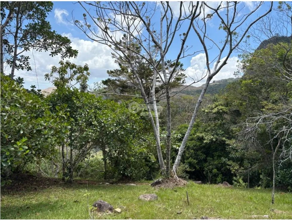 TERRENO DE MONTAÑA  VISTA AL MAR y RIO  / CAPIRA / CAMPANA / 5467M