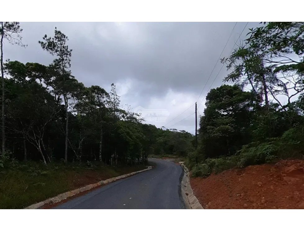 TERRENO / CERRO AZUL / EL VIGIA / 3187 M2 / ESQUINA
