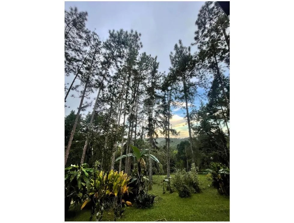 CERRO AZUL / EL VIGIA / 1700 M2 / AMOBLADO / LINEA BLANCA / CASCADA