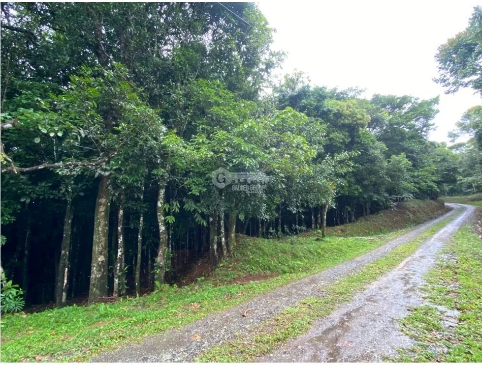 CERRO AZUL / TERRENO / 55 HECATREAS / BOSQUE / RIO / QUEBRADAS