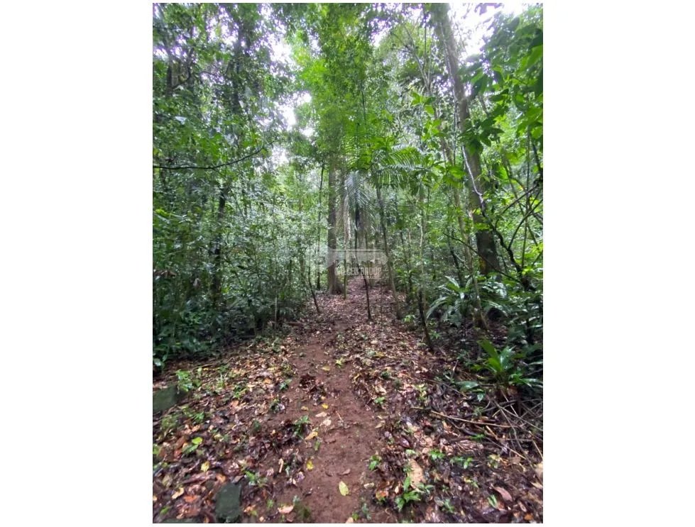 CERRO AZUL / TERRENO / 55 HECATREAS / BOSQUE / RIO / QUEBRADAS