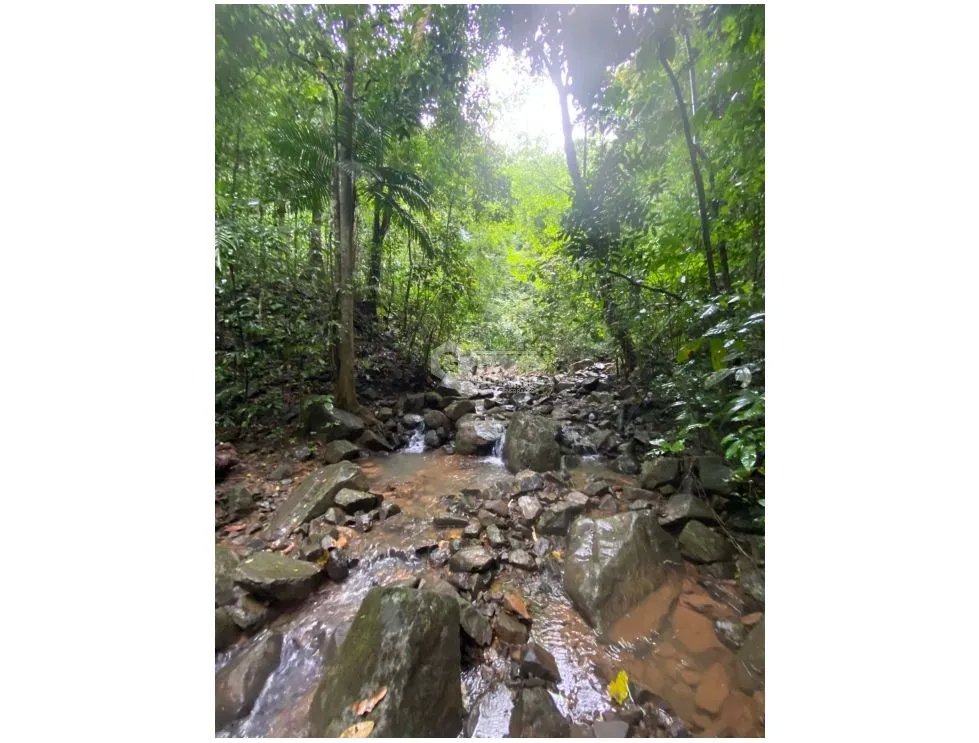 CERRO AZUL / TERRENO / 55 HECATREAS / BOSQUE / RIO / QUEBRADAS