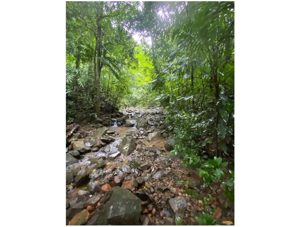 CERRO AZUL / TERRENO / 55 HECATREAS / BOSQUE / RIO / QUEBRADAS