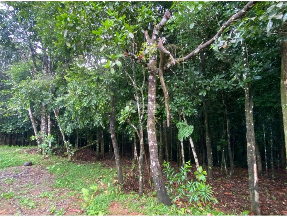 CERRO AZUL / TERRENO / 55 HECATREAS / BOSQUE / RIO / QUEBRADAS