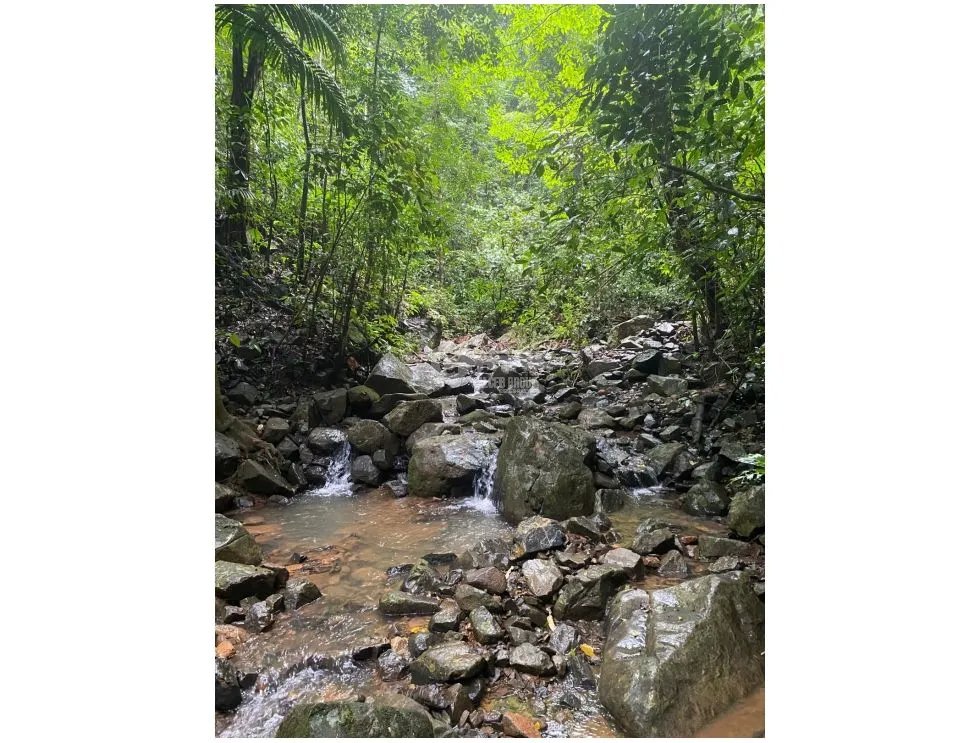 CERRO AZUL / TERRENO / 55 HECATREAS / BOSQUE / RIO / QUEBRADAS