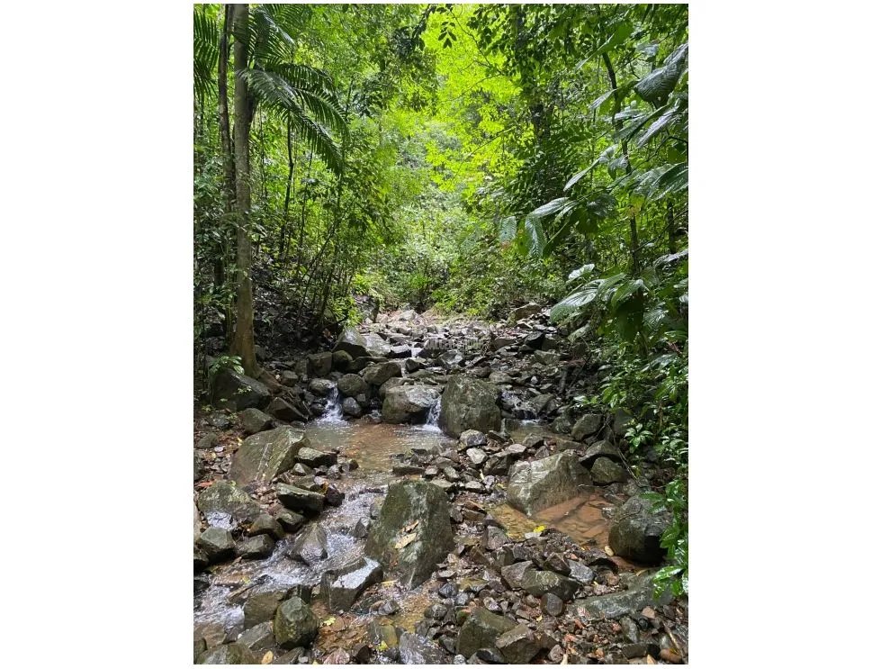 CERRO AZUL / TERRENO / 55 HECATREAS / BOSQUE / RIO / QUEBRADAS