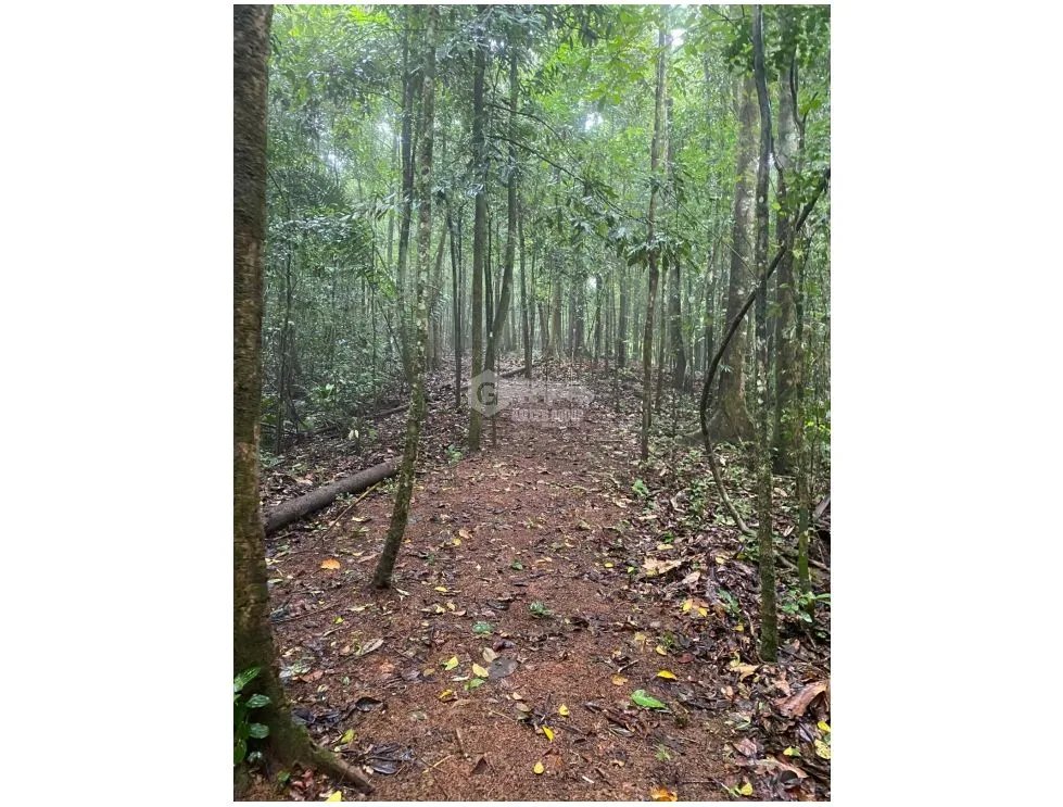 CERRO AZUL / TERRENO / 55 HECATREAS / BOSQUE / RIO / QUEBRADAS