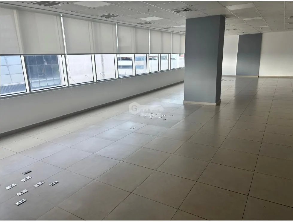OFICINA / COSTA DEL ESTE / PLAZA REAL  / 290M / DIVISIONES / VACIA
