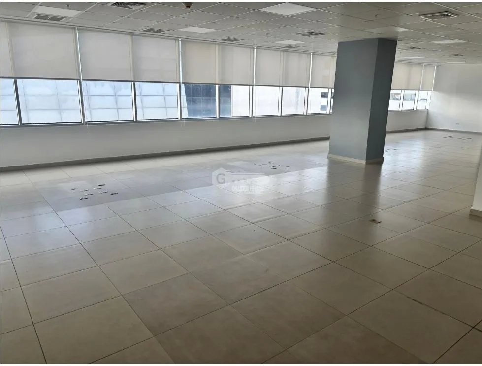 OFICINA / COSTA DEL ESTE / PLAZA REAL  / 290M / DIVISIONES / VACIA