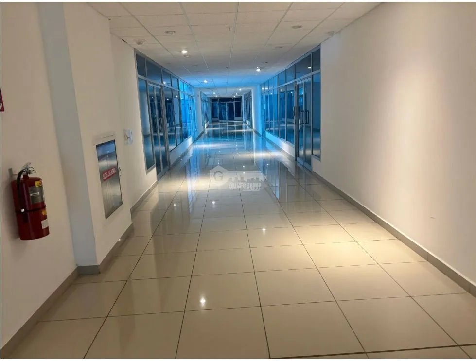 OFICINA / COSTA DEL ESTE / PLAZA REAL  / 290M / DIVISIONES / VACIA