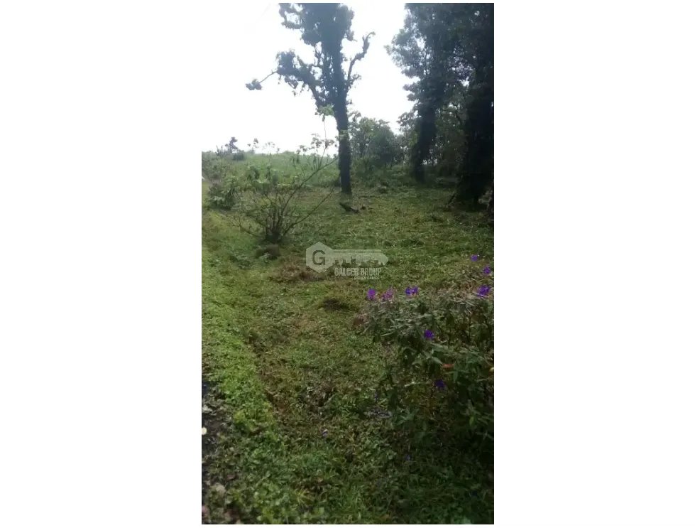 ALTOS DEL MARIA / LA RIOCA / TERRENO / 1750M / SOBRE EL NIVEL DEL MAR