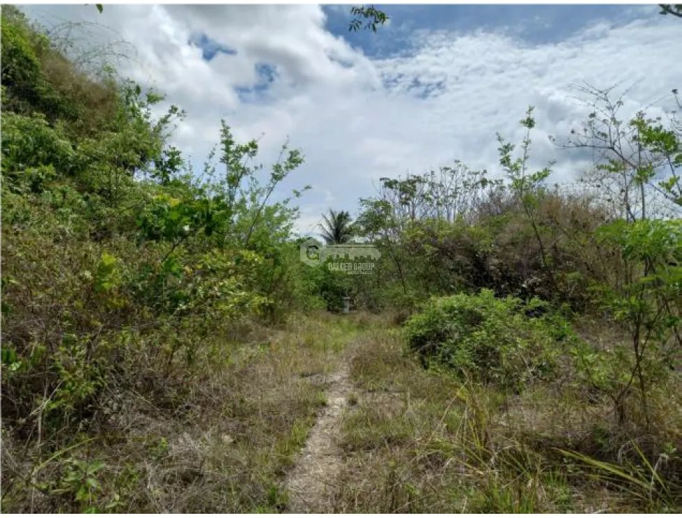 Building Lot for sale in Penonome
