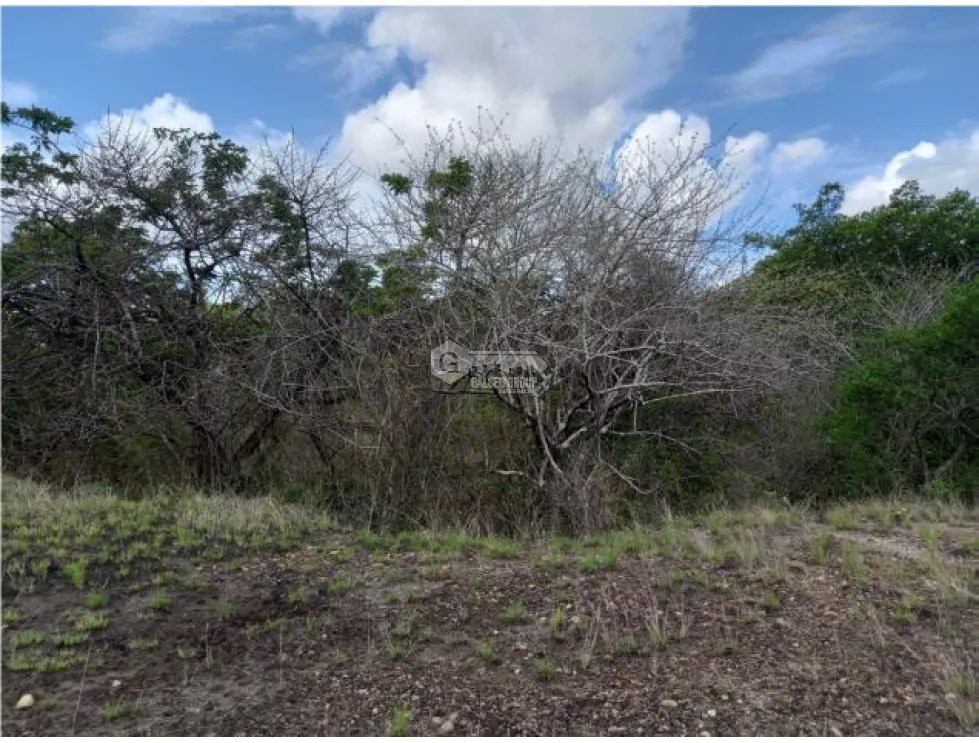 Building Lot for sale in Penonome