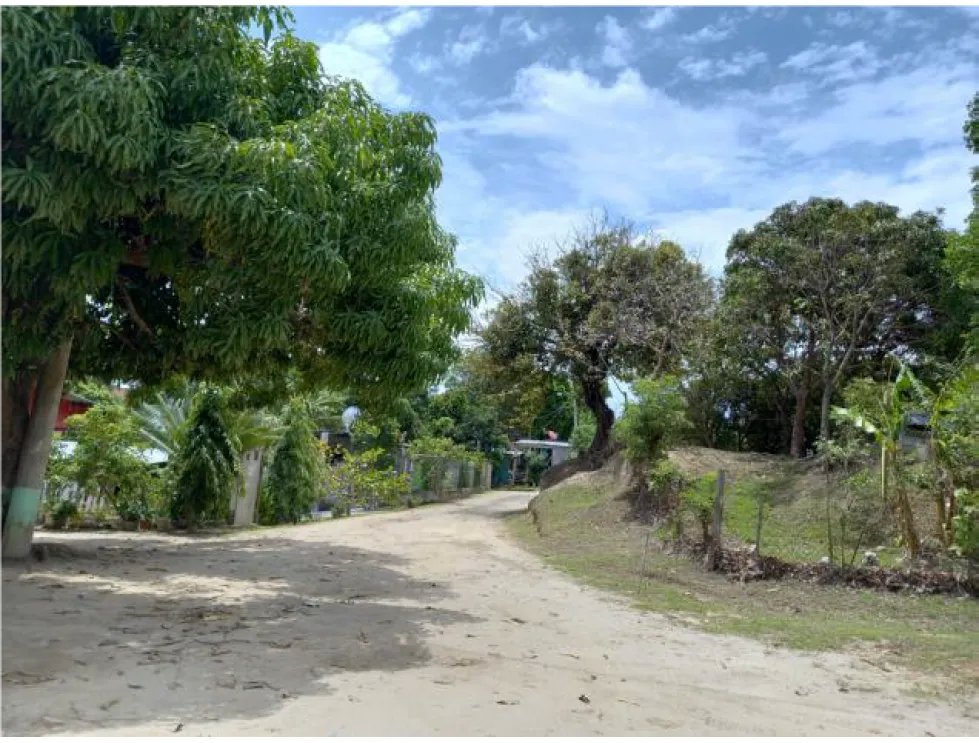 Building Lot for sale in Penonome
