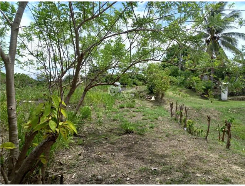 Building Lot for sale in Penonome