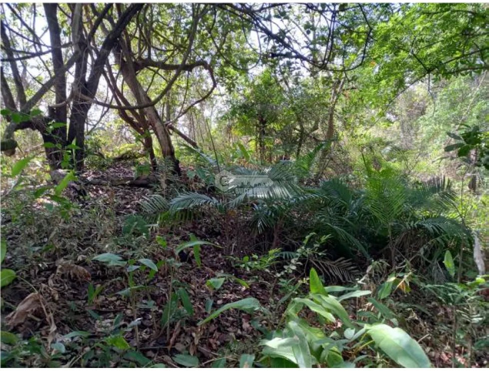 Building Lot for sale in Penonome