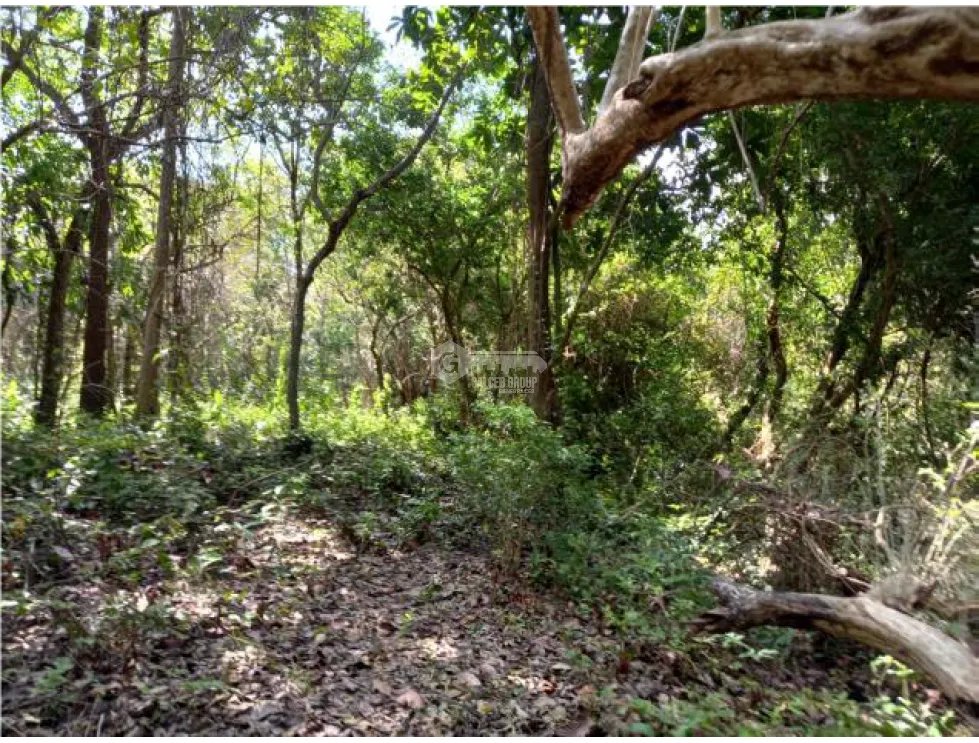 Building Lot for sale in Penonome