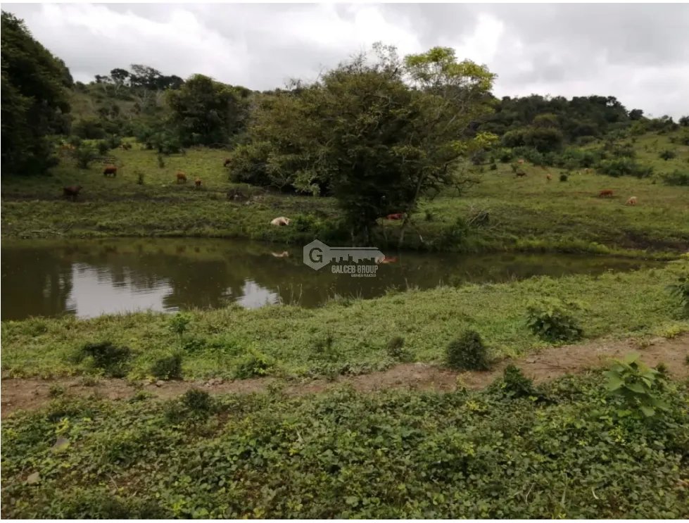 CAPIRA / CERMEÑO / FINCA / 88 HECTAREAS / 5 LAGOS