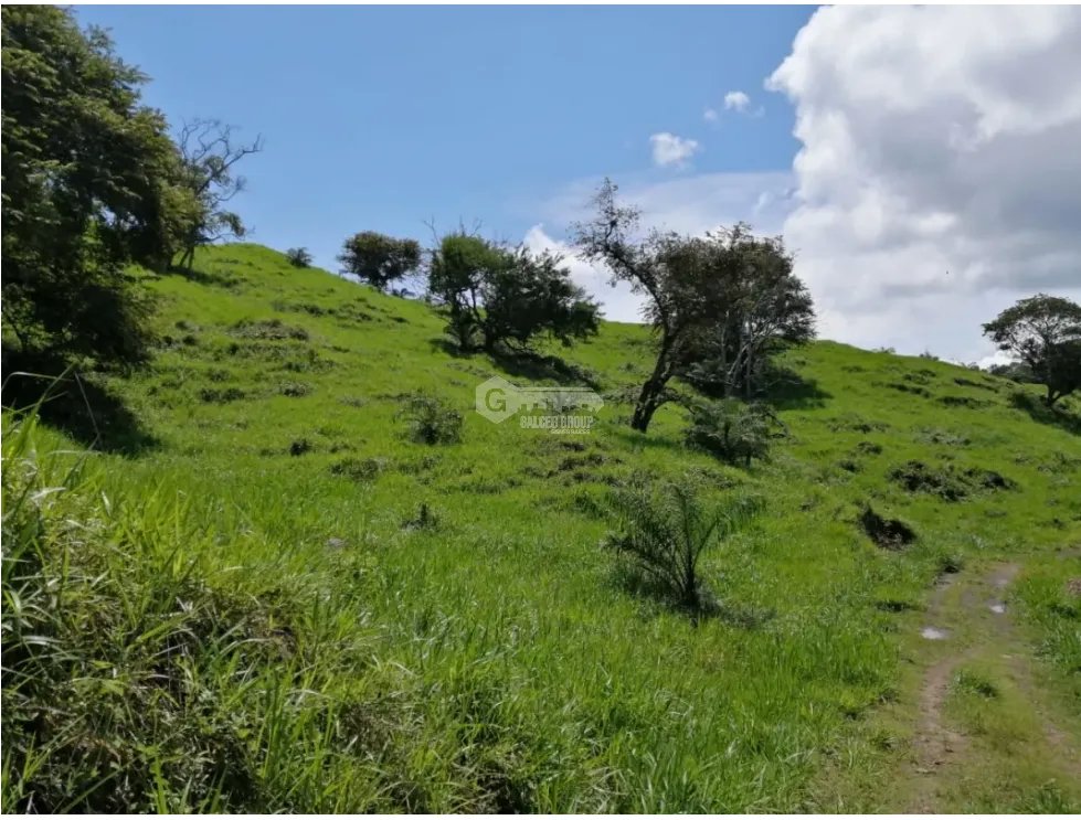 CAPIRA / CERMEÑO / FINCA / 88 HECTAREAS / 5 LAGOS