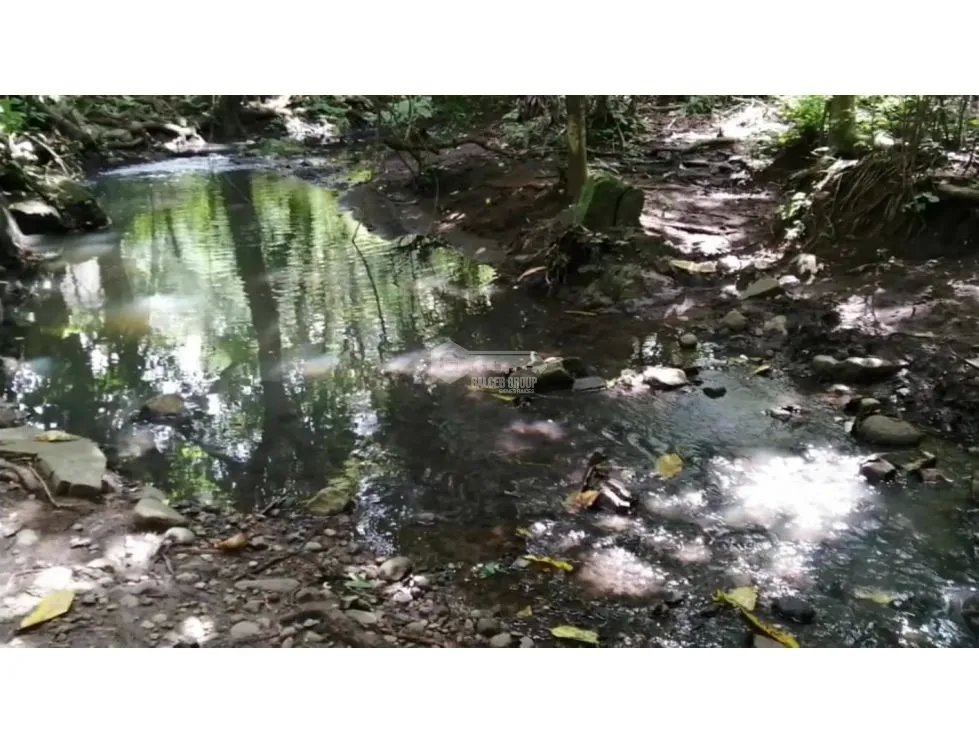 CAPIRA / CERMEÑO / FINCA / 88 HECTAREAS / 5 LAGOS