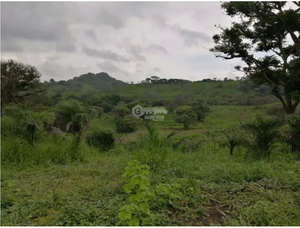 CAPIRA / CERMEÑO / FINCA / 88 HECTAREAS / 5 LAGOS