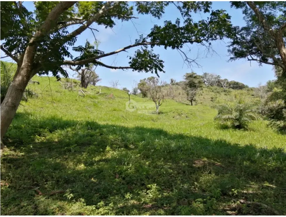 CAPIRA / CERMEÑO / FINCA / 88 HECTAREAS / 5 LAGOS