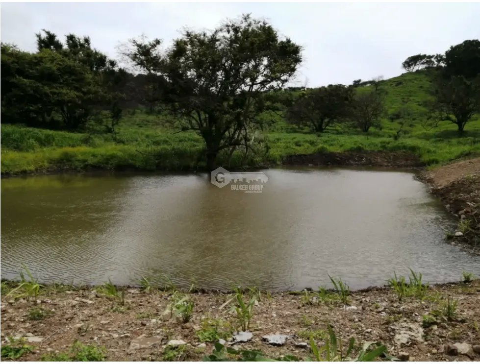 CAPIRA / CERMEÑO / FINCA / 88 HECTAREAS / 5 LAGOS