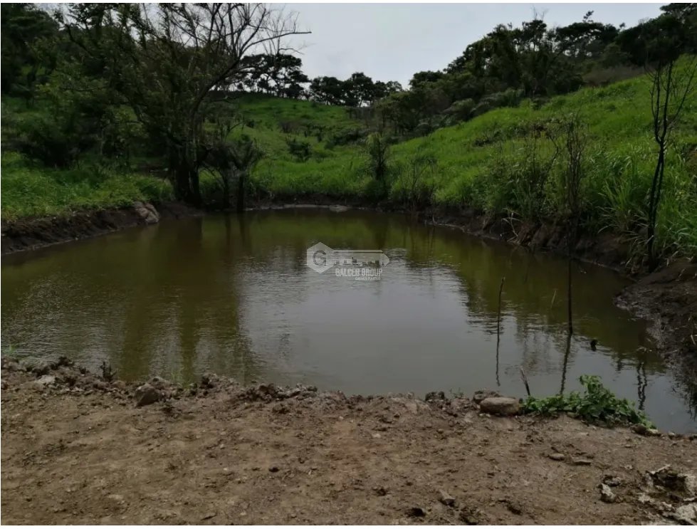 CAPIRA / CERMEÑO / FINCA / 88 HECTAREAS / 5 LAGOS