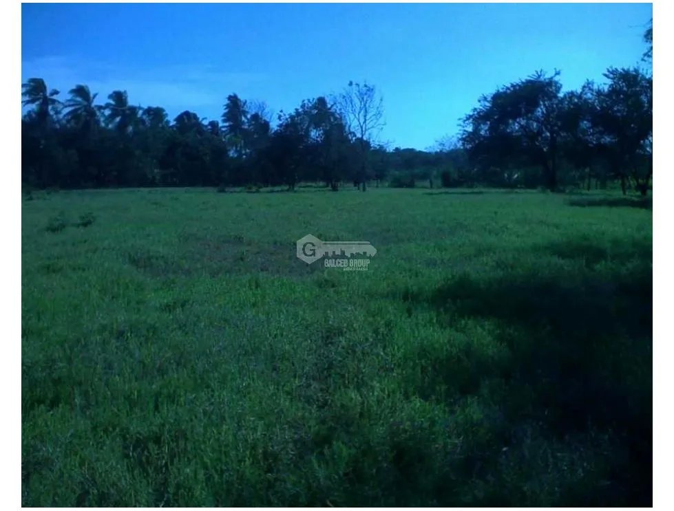 FINCA  CON QUEBRADA / CERCA DEL MAR / JUAN HOMBRON / 6.5 HECTÁREAS