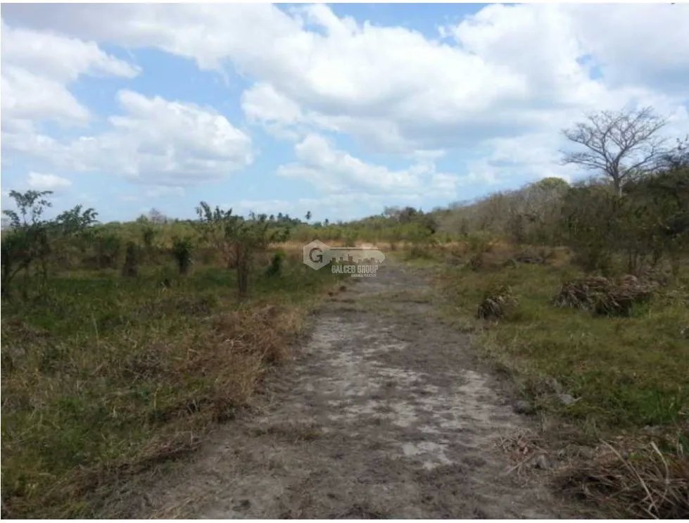 FINCA  CON QUEBRADA / CERCA DEL MAR / JUAN HOMBRON / 6.5 HECTÁREAS
