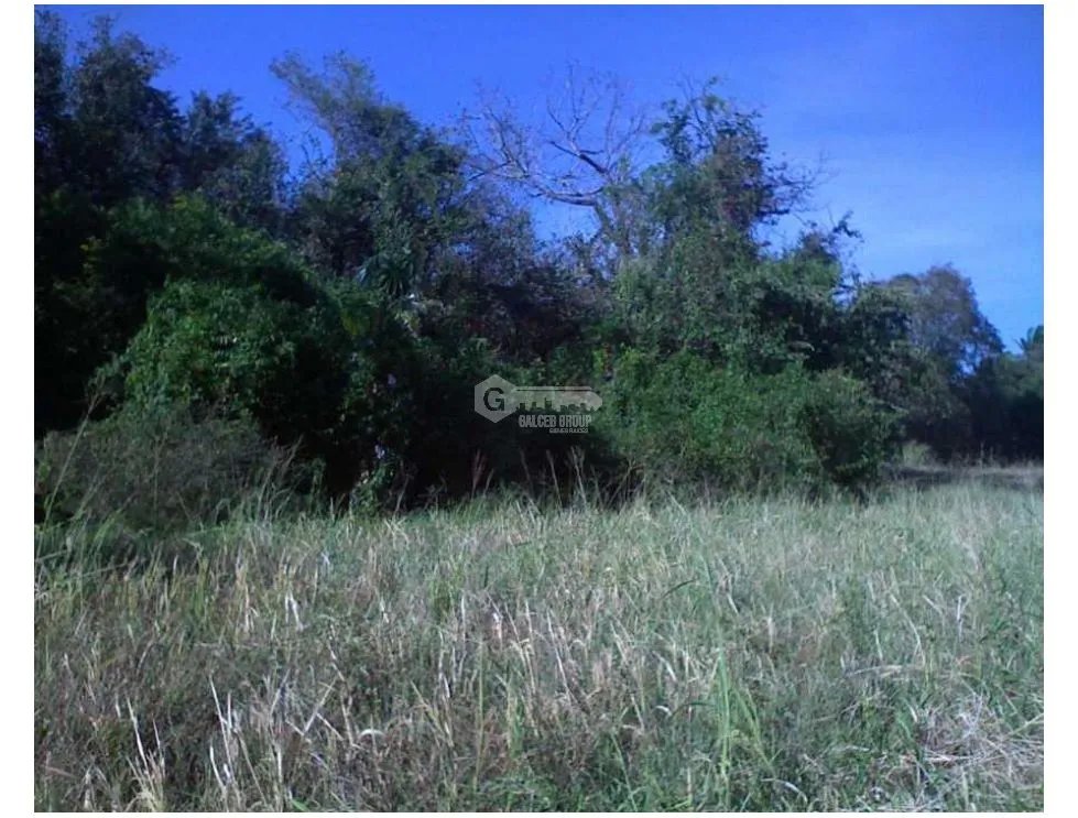 FINCA  CON QUEBRADA / CERCA DEL MAR / JUAN HOMBRON / 6.5 HECTÁREAS