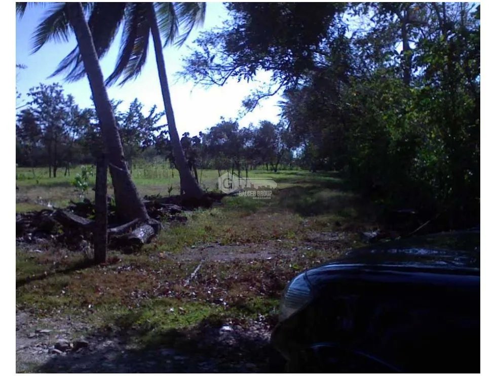 FINCA  CON QUEBRADA / CERCA DEL MAR / JUAN HOMBRON / 6.5 HECTÁREAS