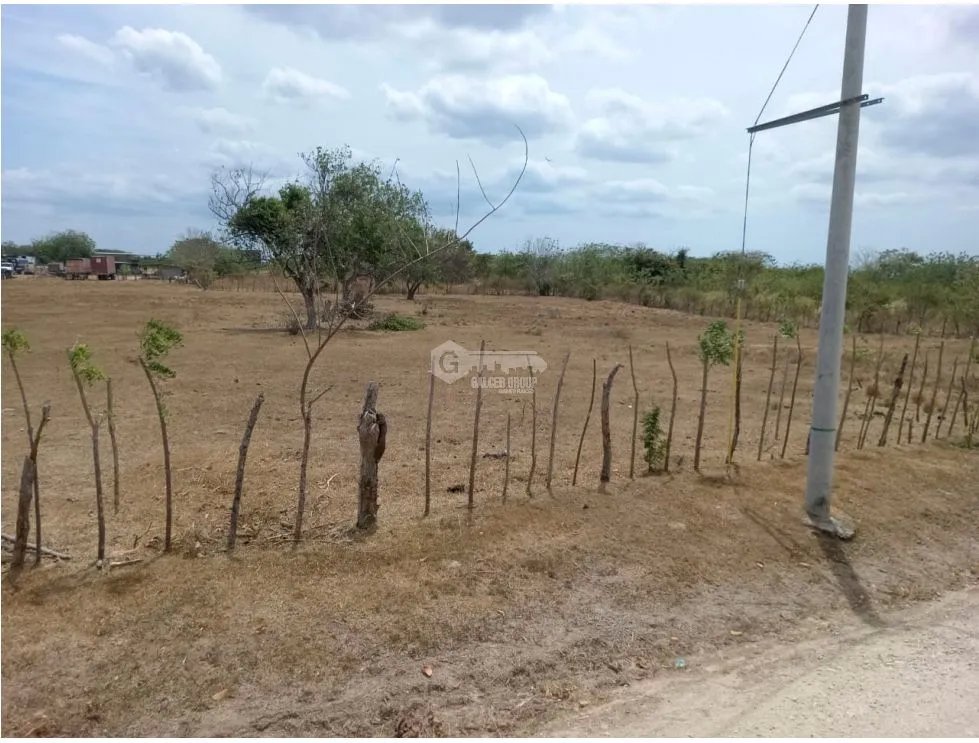 PENONOME / TERRENO / 3.538.81M2