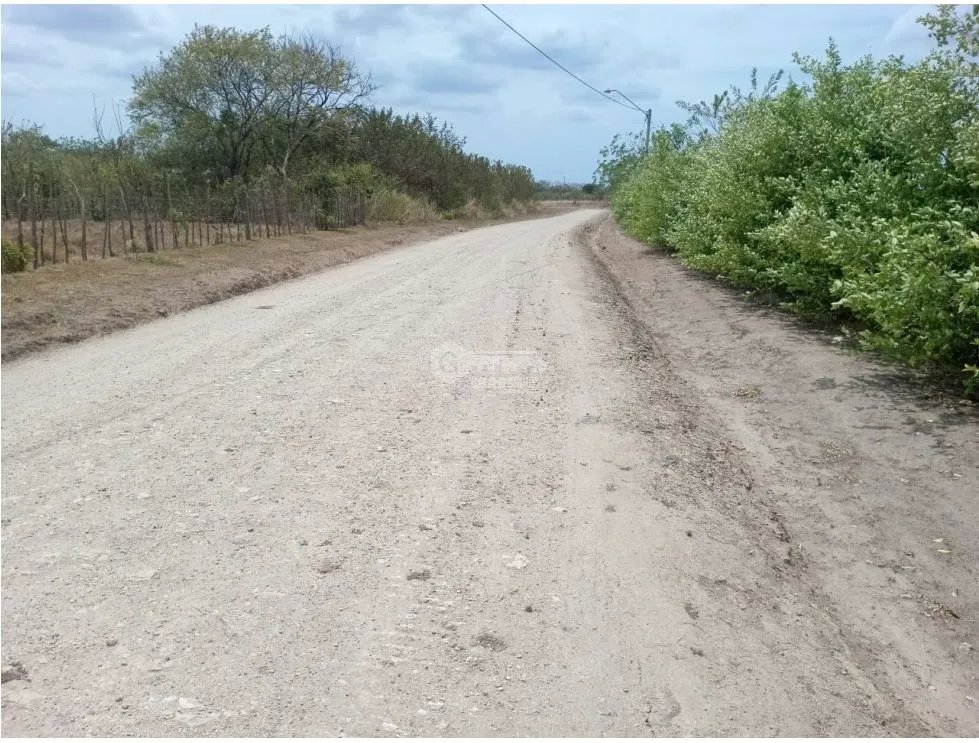 PENONOME / TERRENO / 3.538.81M2