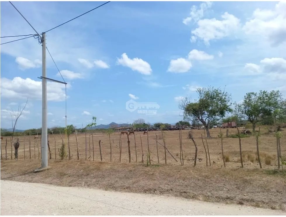 PENONOME / TERRENO / 3.538.81M2