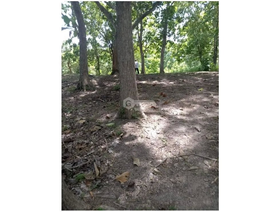 Building Lot for sale in San Carlos