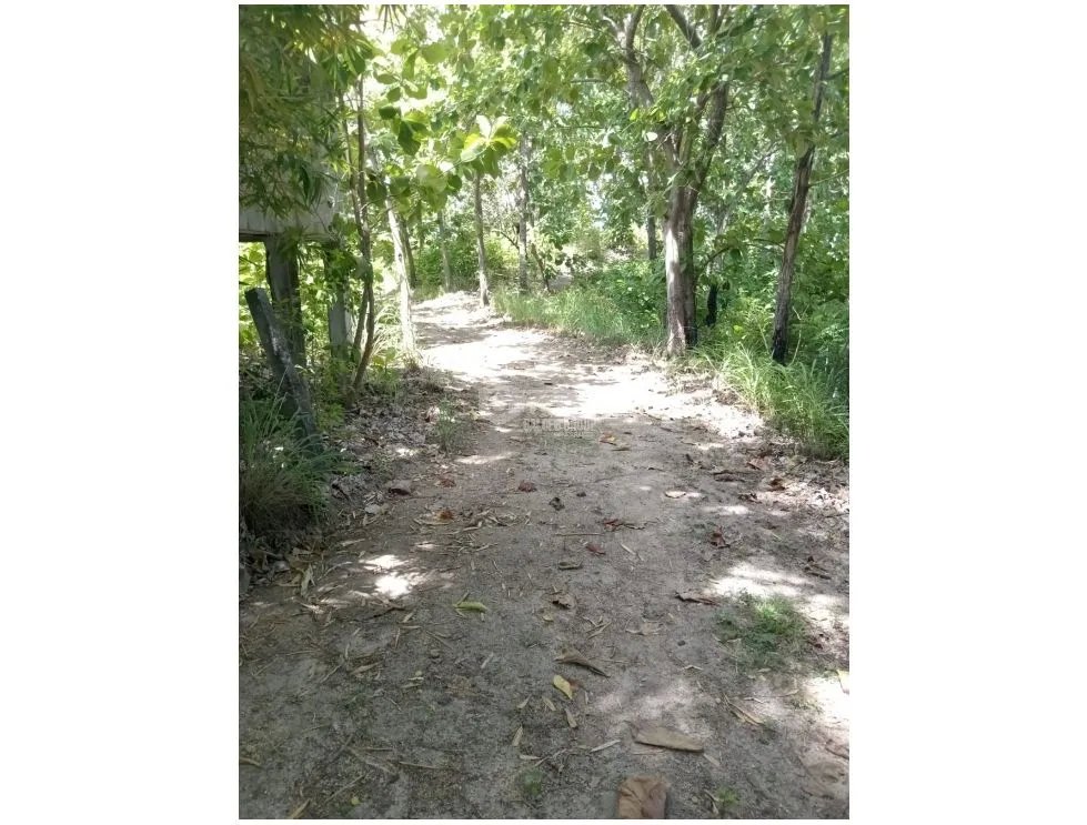 Building Lot for sale in San Carlos
