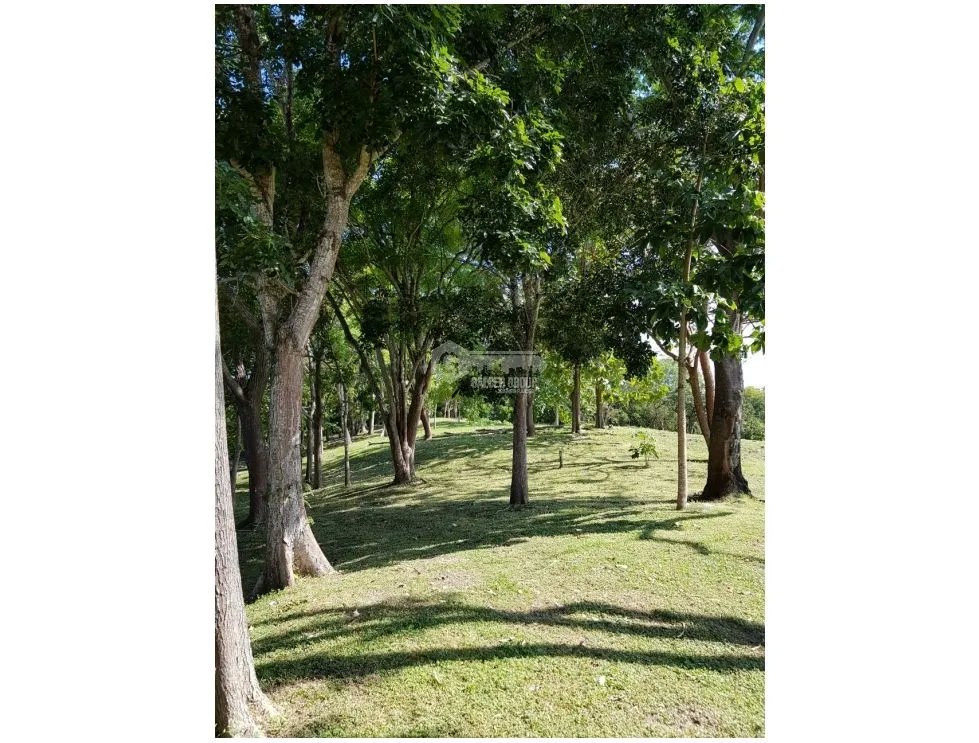 Building Lot for sale in San Carlos