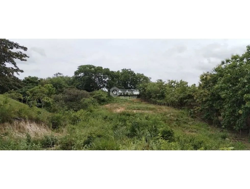 TERRENO / SAN CARLOS / EL NANCE / 7000M2 / ACCESO AL RIO