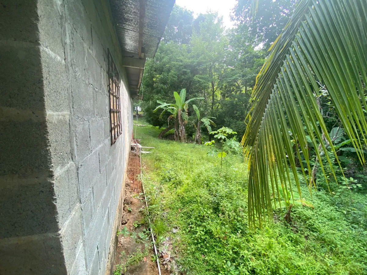 Titled 3,919.5 m² Property for Sale in Santa Catalina, Veraguas  Walking Distance to the Beach