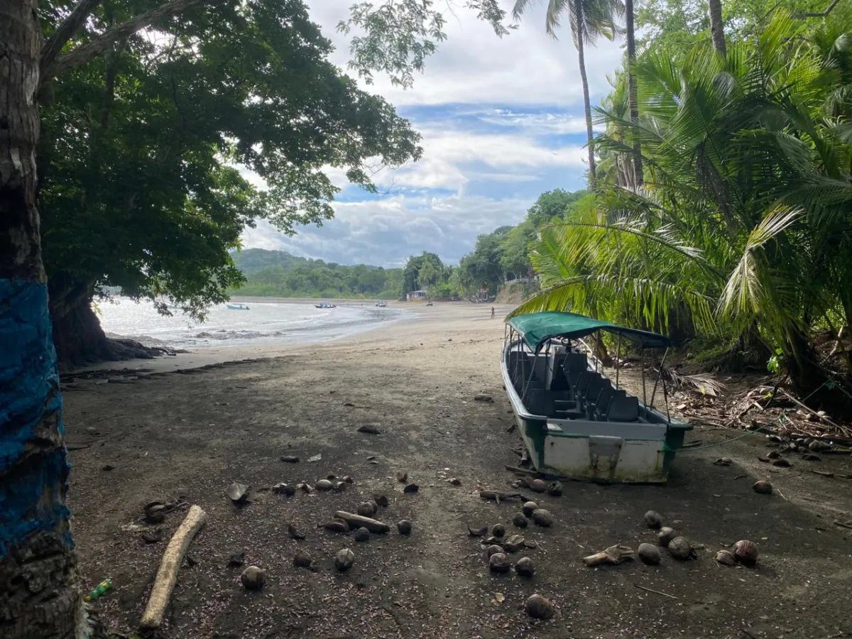 Titled 3,919.5 m² Property for Sale in Santa Catalina, Veraguas  Walking Distance to the Beach