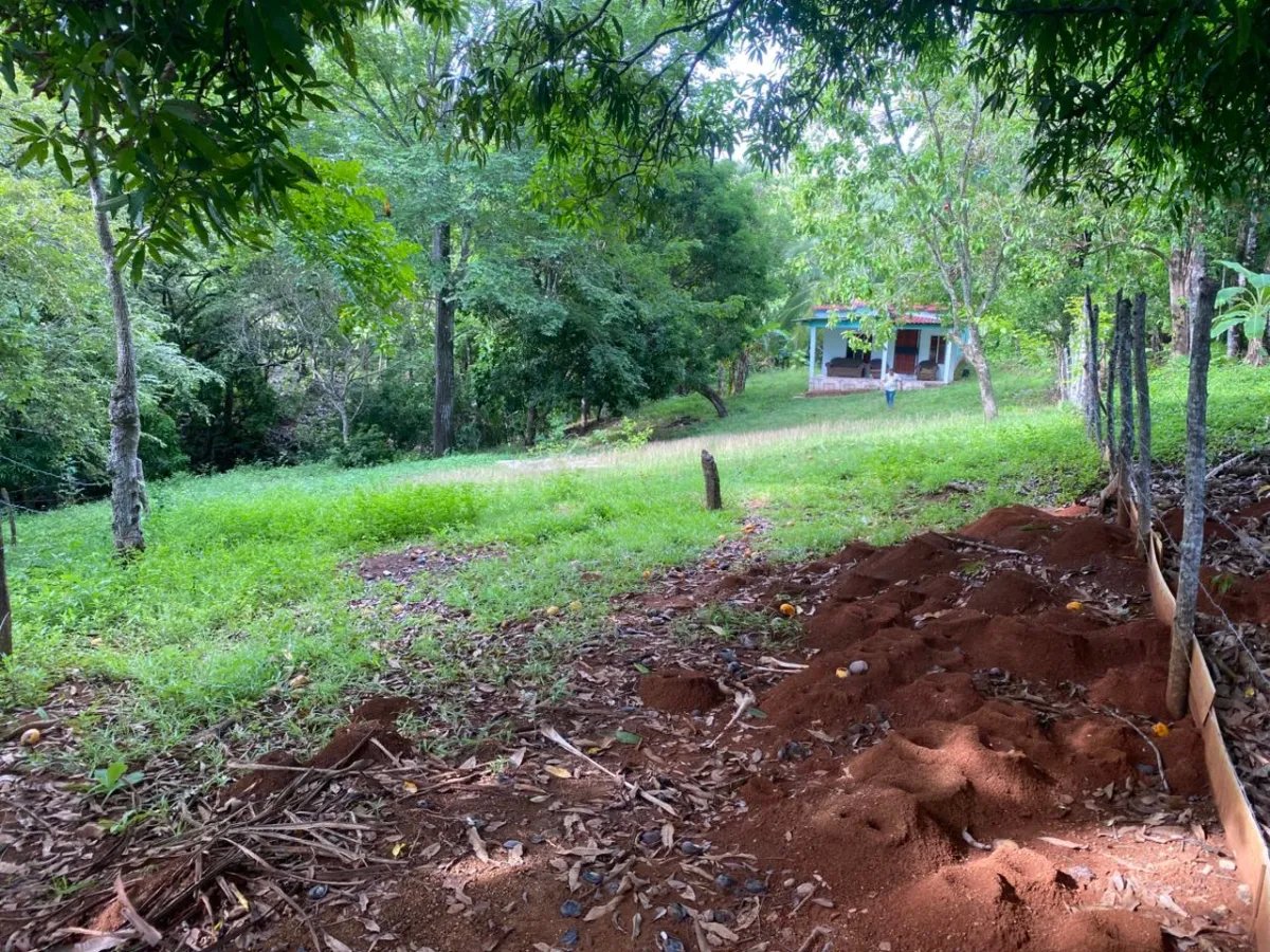 Titled 3,919.5 m² Property for Sale in Santa Catalina, Veraguas  Walking Distance to the Beach