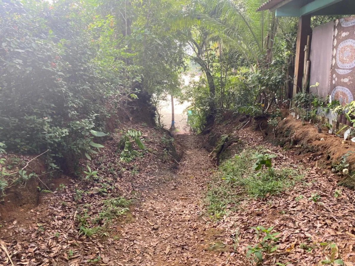 Titled 3,919.5 m² Property for Sale in Santa Catalina, Veraguas  Walking Distance to the Beach